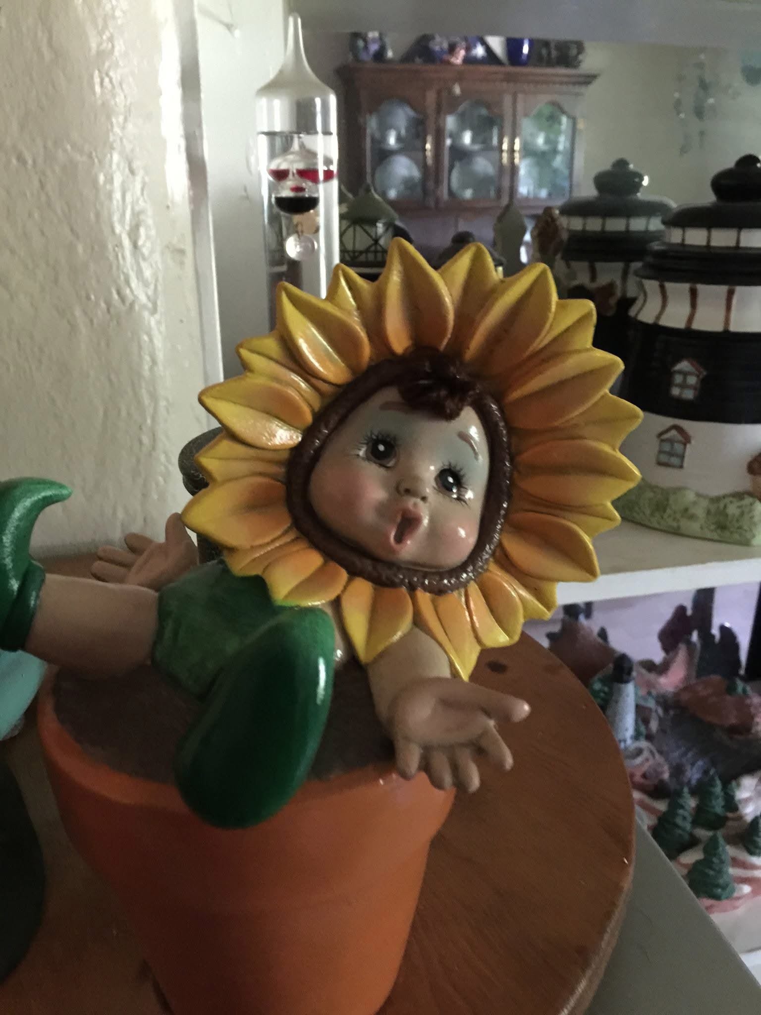 Sunflower babies